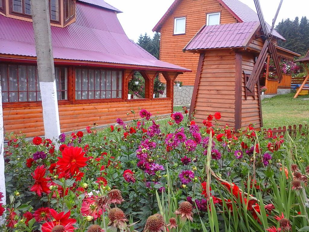 Romashka Guest House Yablunytsya Exterior photo