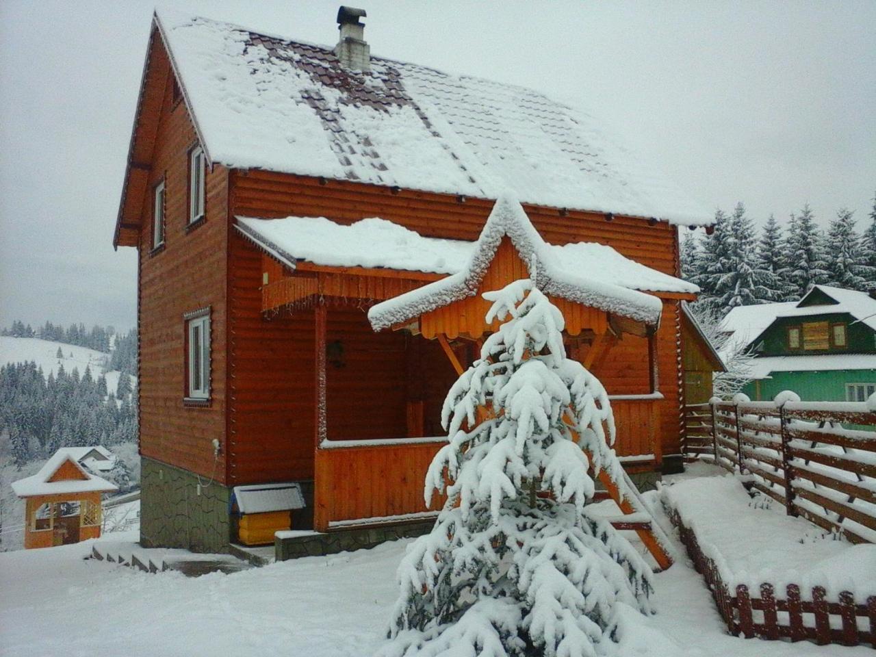 Romashka Guest House Yablunytsya Exterior photo